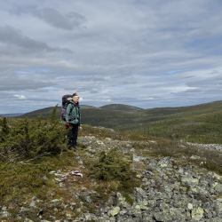 Neule- ja joogavaellus Pallastuntureilla 8.-10.6.2026