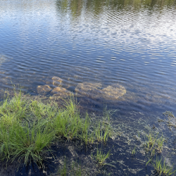 Kauniita, kirkasvetisiä järviä