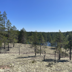 Neulevaellus Rokualla 29.-30.8.2026