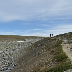 Neulevaellus Käsivarren erämaassa 1.-9.8.2026