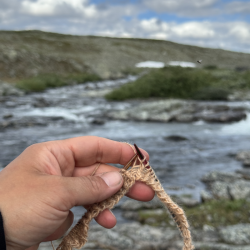 Neulevaellus Käsivarren erämaassa 1.-9.8.2026