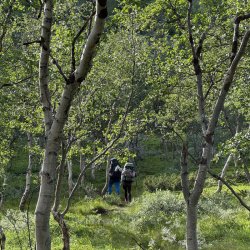 Neulevaellus Käsivarren erämaassa 1.-9.8.2026