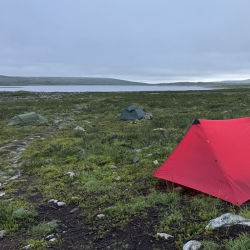 Neulevaellus Käsivarren erämaassa 1.-9.8.2026