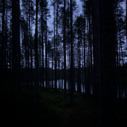 24h marraskuun pimeydessä 14.-15.11.2026
