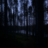24h marraskuun pimeydessä 14.-15.11.2026